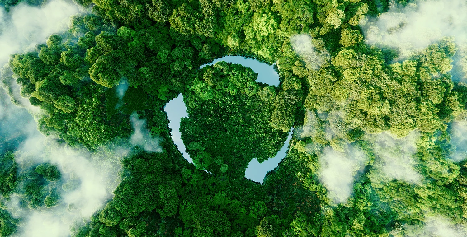 Aerial view of a lush forest with clouds mingling among the treetops, forming a natural silhouette of a recycling symbol, representing Ingersoll Paper Box's commitment to sustainability and eco-friendly practices.